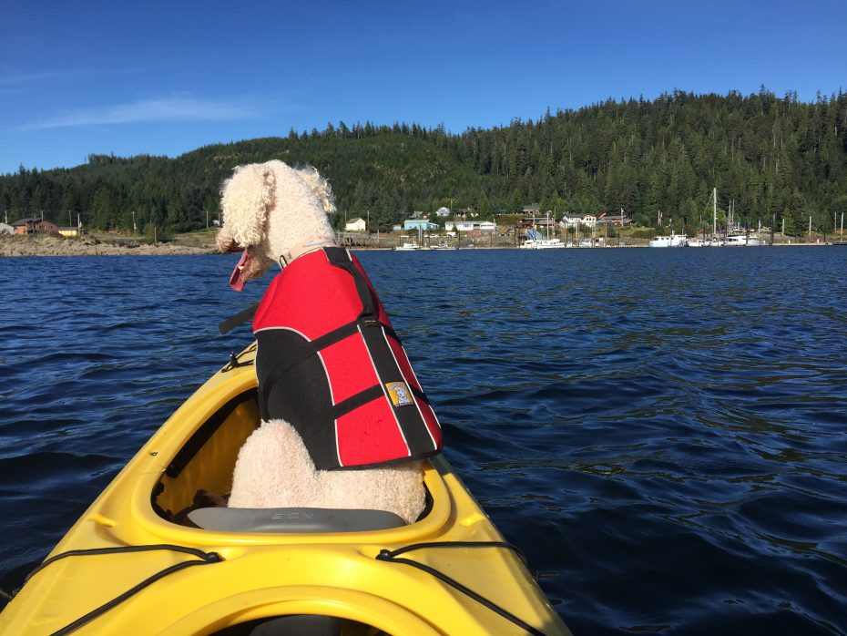City of Thorne Bay, Alaska