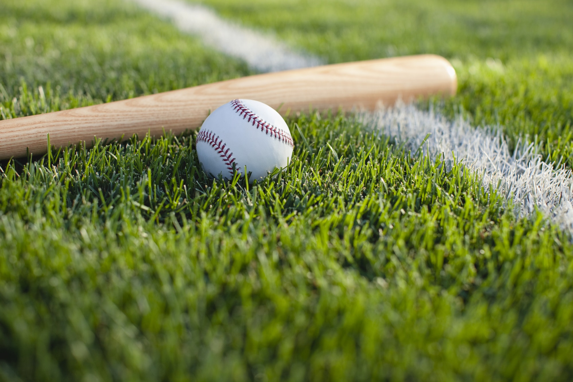 Baseball and Bat on Grass Field with White Stripe